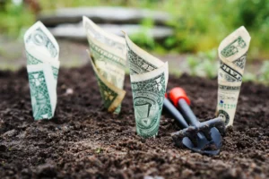 Bank Notes - Affiliate Marketing