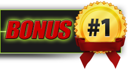 Bonus 1