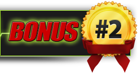 Bonus 2